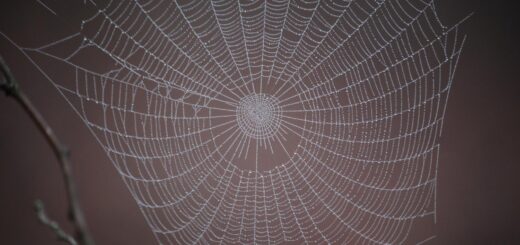 paste & paste0 Functions in R to Concatenate Strings