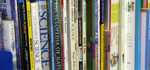 Top Data Science Skills