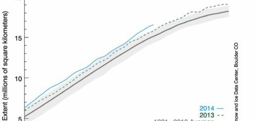 How to extract a time series subset in R