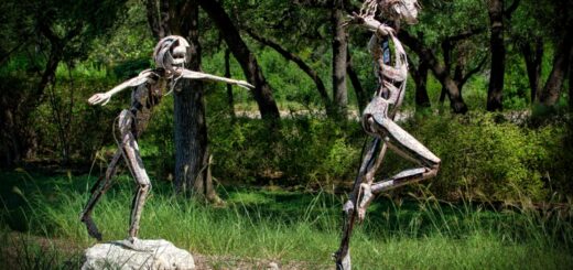 What are the algorithms used in machine learning