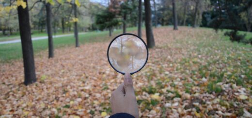 Pattern Searching in R