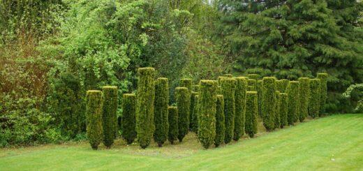 R Error: Cannot Allocate Vector of Size N GB